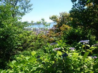 DSC_6228_320.jpg