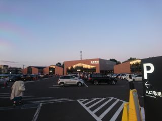DSC_6765_320.jpg