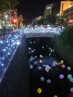 DSC_6846_320.jpg