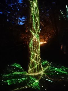 DSC_6983_320.jpg