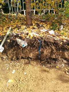IMG_20171107_113518_320.jpg